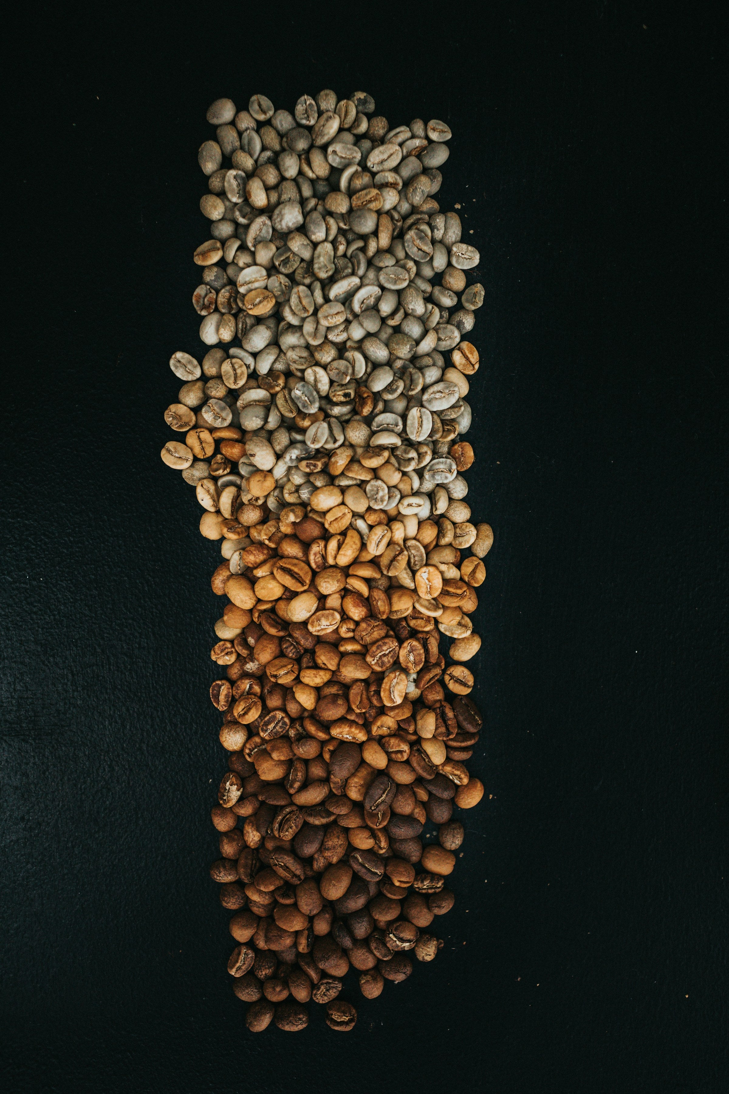 Kaffee in verschiedenen Roestgraden vor dunklem Hintergrund ausgebreitet.