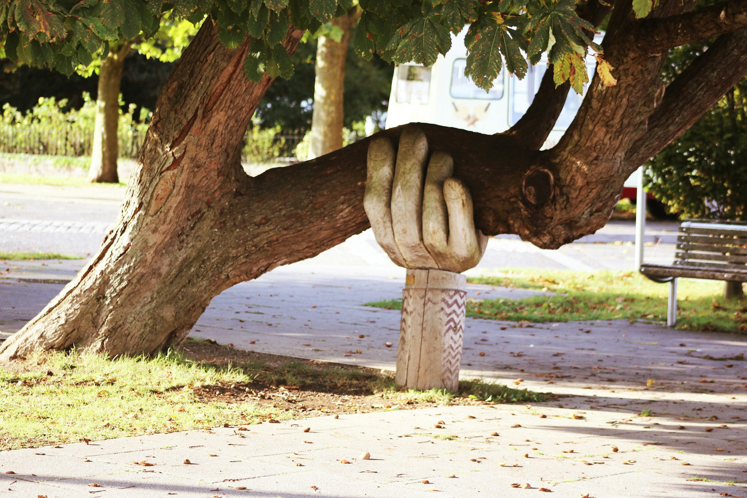 Eine als Hand geformte Stuetze unterstuetzt den Ast eines Baumes.